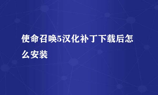 使命召唤5汉化补丁下载后怎么安装