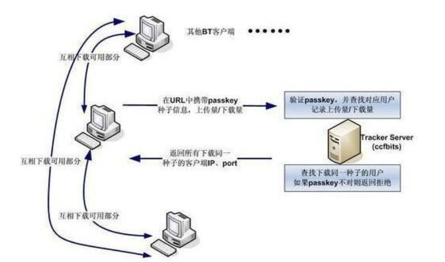 请问PT站是什么网站？