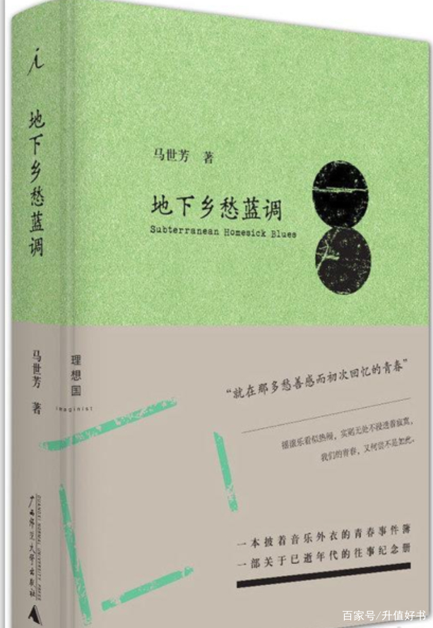 《地下乡愁蓝调》这部书，它的作者是谁？