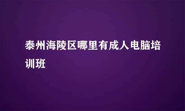 泰州海陵区哪里有成人电脑培训班