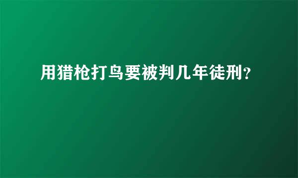 用猎枪打鸟要被判几年徒刑？