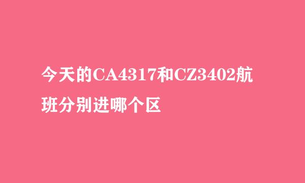 今天的CA4317和CZ3402航班分别进哪个区