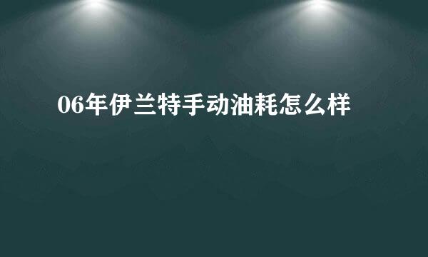 06年伊兰特手动油耗怎么样