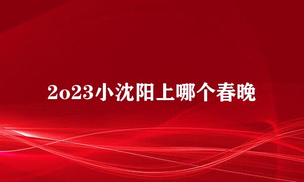 2o23小沈阳上哪个春晚