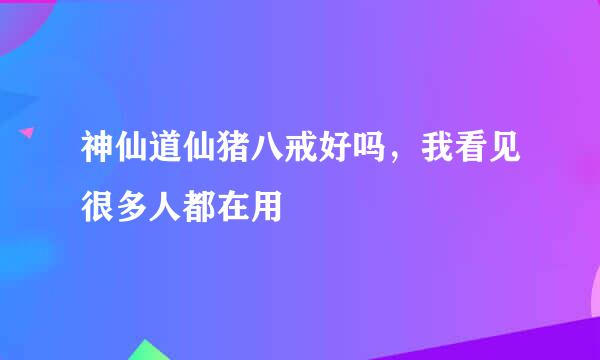 神仙道仙猪八戒好吗，我看见很多人都在用