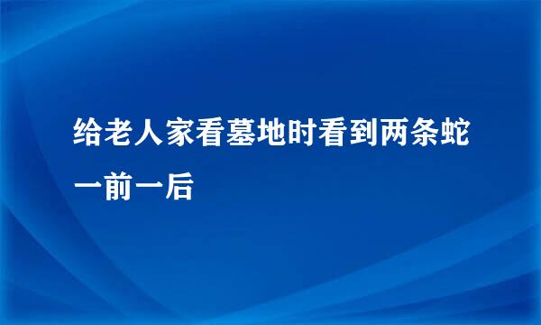 给老人家看墓地时看到两条蛇一前一后