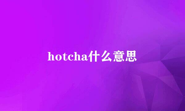 hotcha什么意思