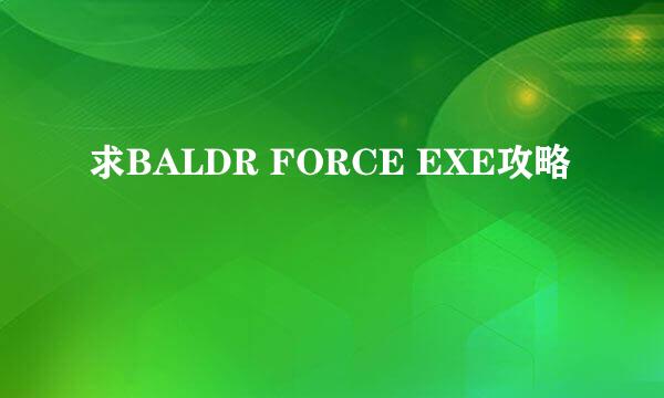 求BALDR FORCE EXE攻略