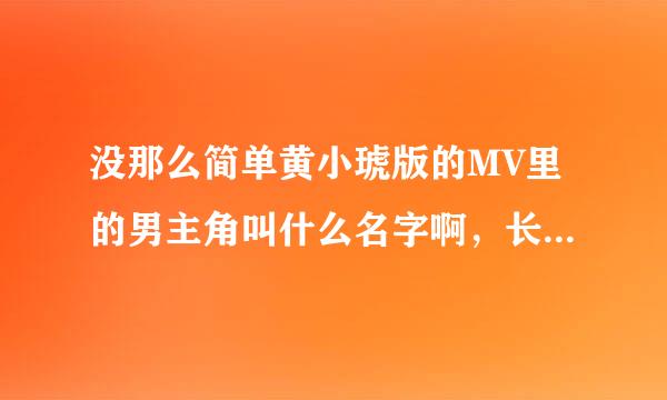 没那么简单黄小琥版的MV里的男主角叫什么名字啊，长得有点像晓明