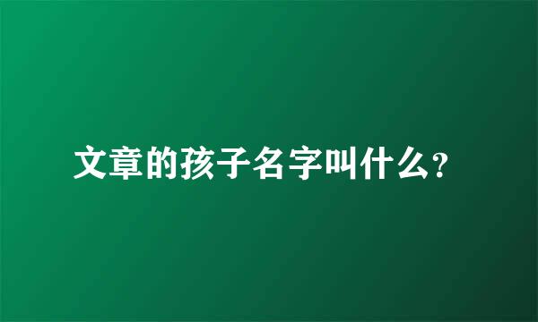 文章的孩子名字叫什么？