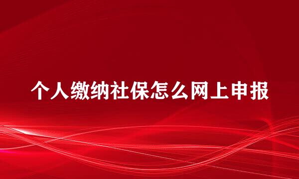 个人缴纳社保怎么网上申报