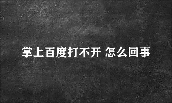 掌上百度打不开 怎么回事