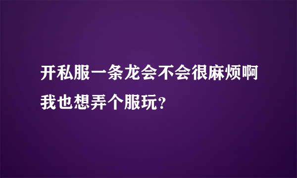 开私服一条龙会不会很麻烦啊我也想弄个服玩？