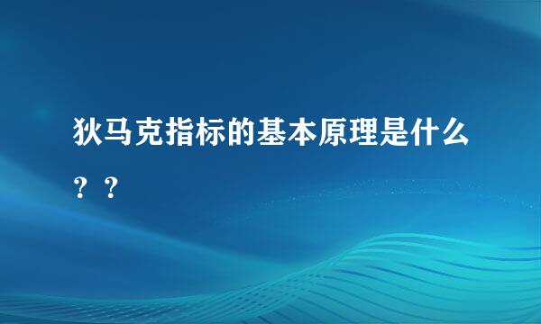 狄马克指标的基本原理是什么？？