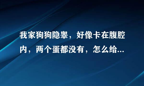 我家狗狗隐睾，好像卡在腹腔内，两个蛋都没有，怎么给他按摩搞下来？？让他恢复正常，懂得人联系，高分