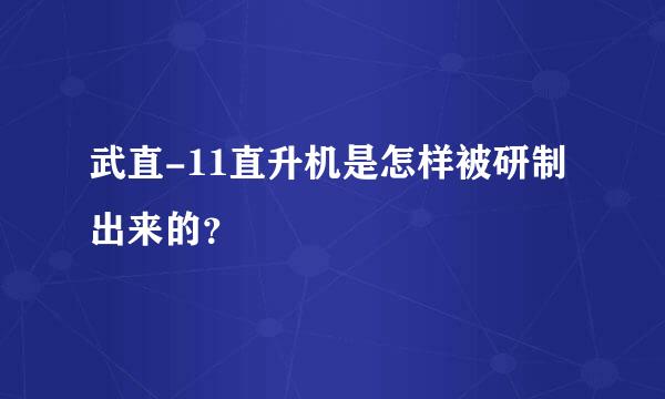 武直-11直升机是怎样被研制出来的？