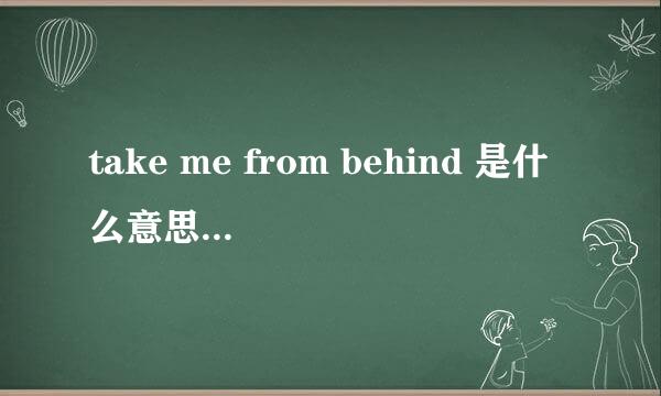 take me from behind 是什么意思啊  我女朋友 总是喜欢和我说这一句