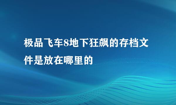 极品飞车8地下狂飙的存档文件是放在哪里的