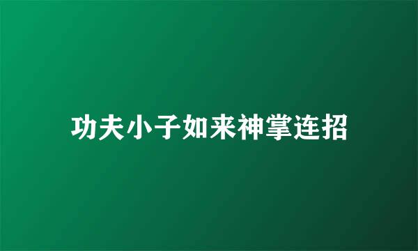 功夫小子如来神掌连招