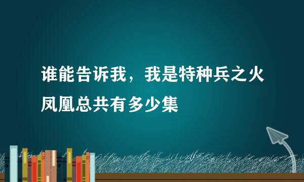 谁能告诉我，我是特种兵之火凤凰总共有多少集