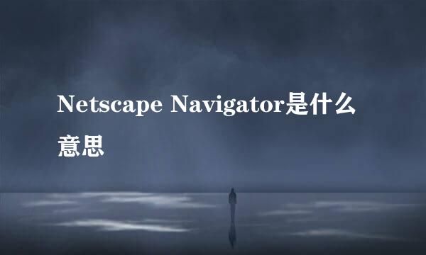 Netscape Navigator是什么意思