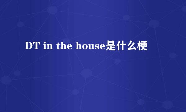 DT in the house是什么梗