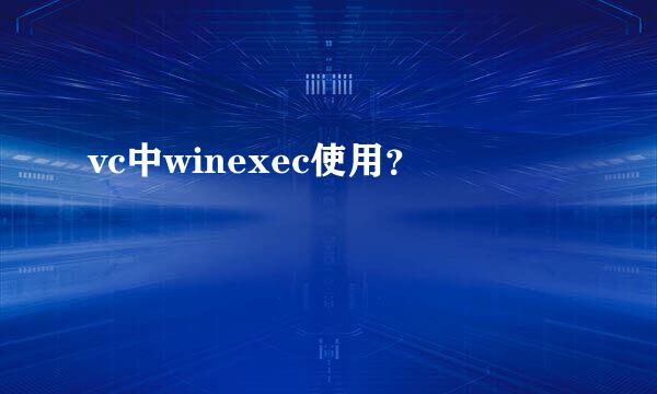 vc中winexec使用？