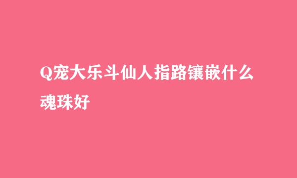 Q宠大乐斗仙人指路镶嵌什么魂珠好