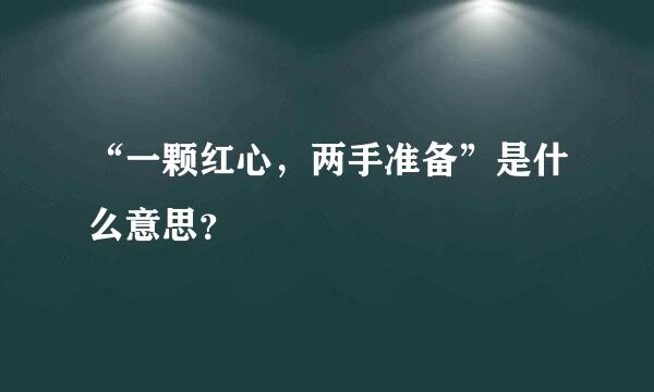 “一颗红心，两手准备”是什么意思？