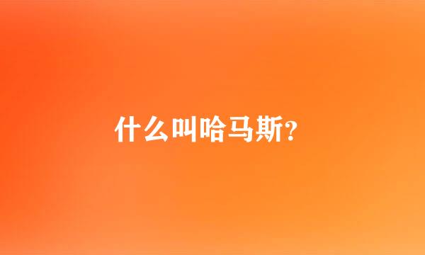 什么叫哈马斯？