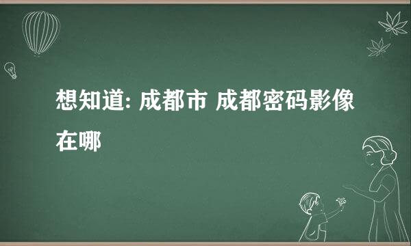 想知道: 成都市 成都密码影像 在哪