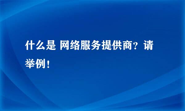 什么是 网络服务提供商？请举例！