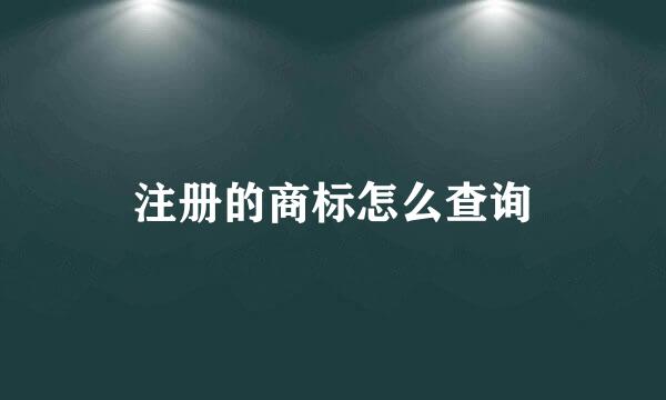 注册的商标怎么查询