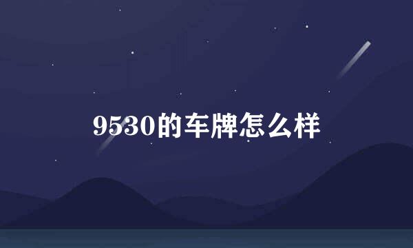 9530的车牌怎么样