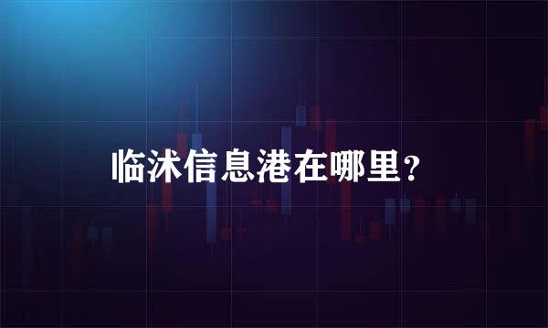 临沭信息港在哪里？