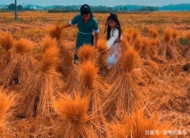 广西桂林一对夫妻扮演郭靖与黄蓉收稻子走红网络，为什么他们的装扮那么像？