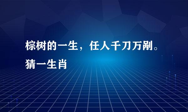 棕树的一生，任人千刀万剐。猜一生肖