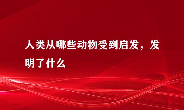 人类从哪些动物受到启发，发明了什么