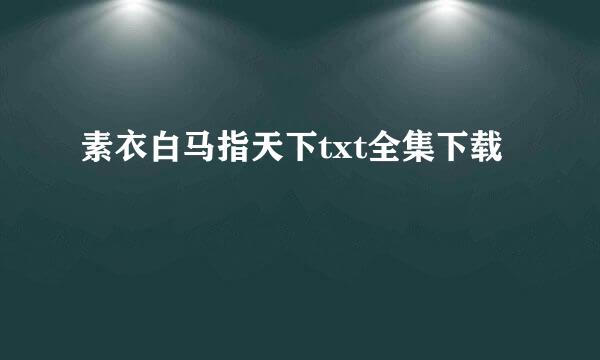 素衣白马指天下txt全集下载