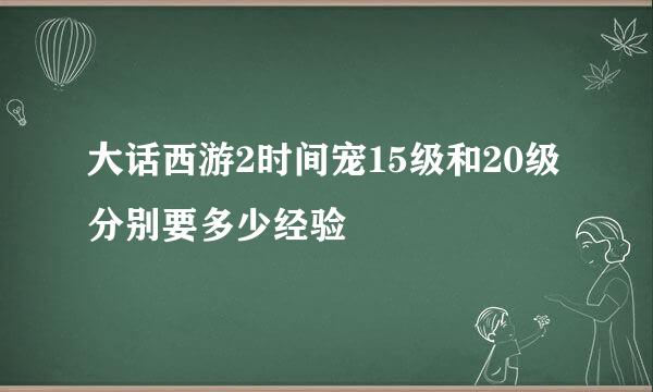 大话西游2时间宠15级和20级分别要多少经验