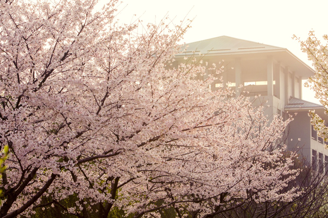 湖北中医药大学评价