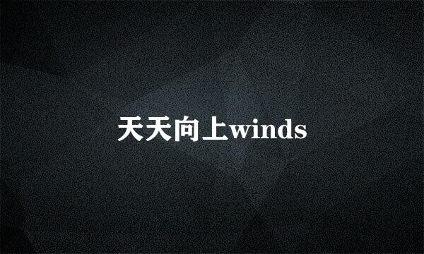 天天向上winds