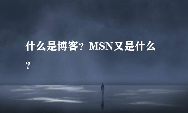 什么是博客？MSN又是什么？