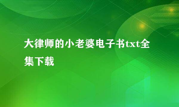 大律师的小老婆电子书txt全集下载