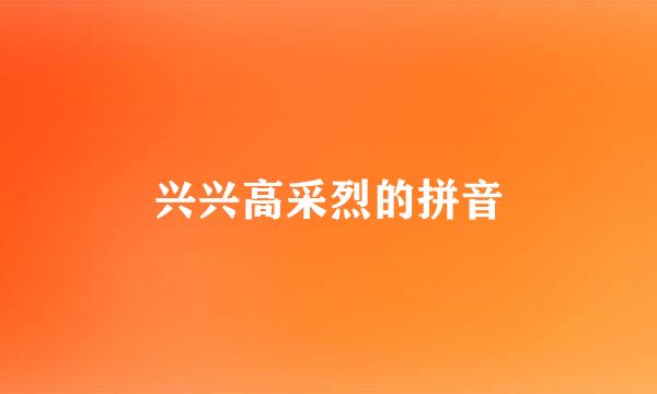 兴兴高采烈的拼音