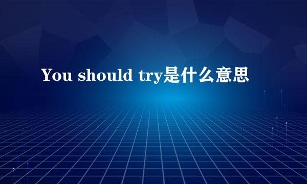 You should try是什么意思