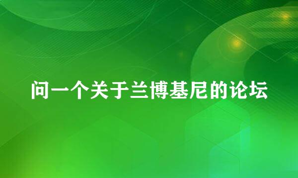 问一个关于兰博基尼的论坛