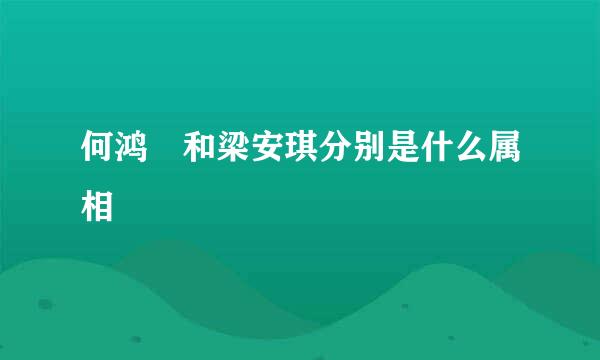 何鸿燊和梁安琪分别是什么属相