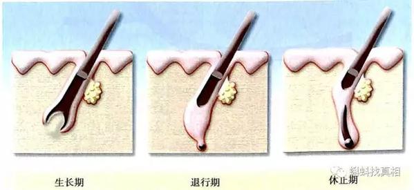 正月为什么不能剪头发？