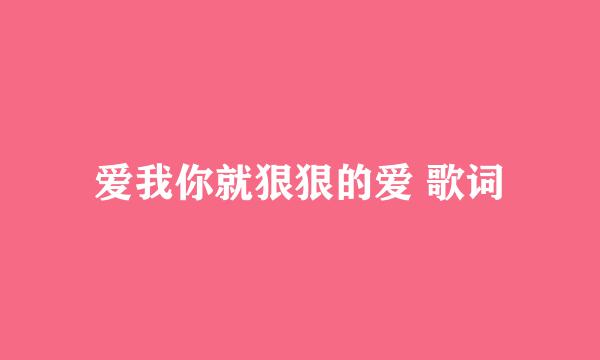 爱我你就狠狠的爱 歌词